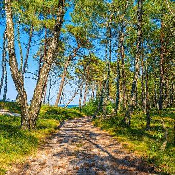 Niebieski Szlak Turystyczny (Der Blaue Wanderweg)